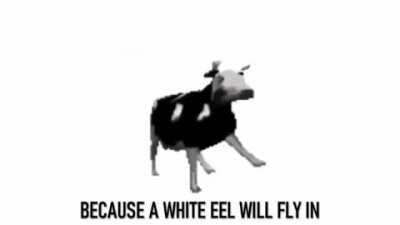 The actual lyrics to that stupid dancing cow you&rsquo;ve been seeing so much