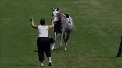 HMFT after i try to stop a horse