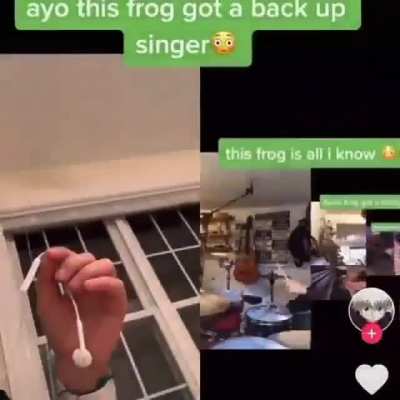 🎼