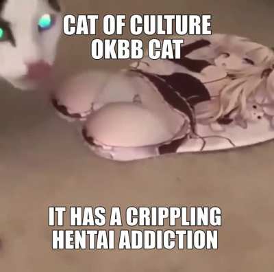 Based Cat