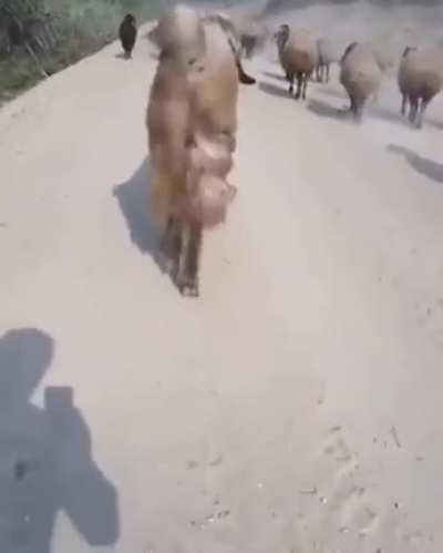 Me on a hot day