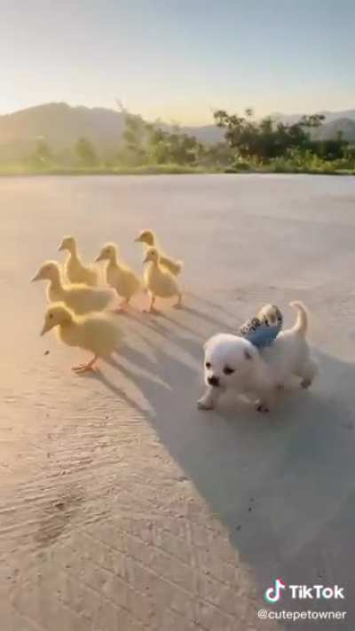 Best Friend