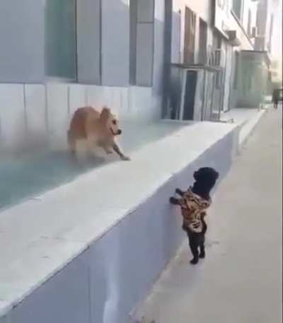 First kiss
