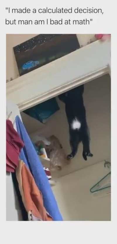 Just hang in there
