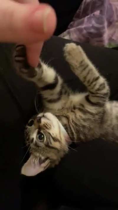 Touch tha finger