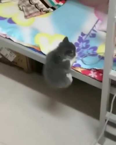 I am too smoll for this bed