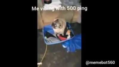 On a good day