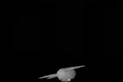 Rate my giggle animation