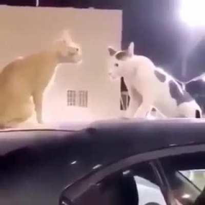 Rule