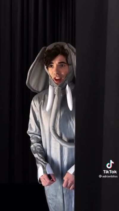 An elephant never forgets