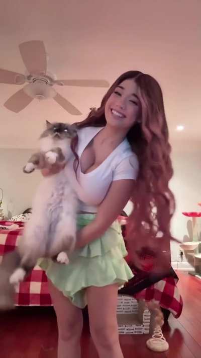 Kitties