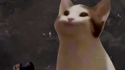 I&acute;M POP CAT