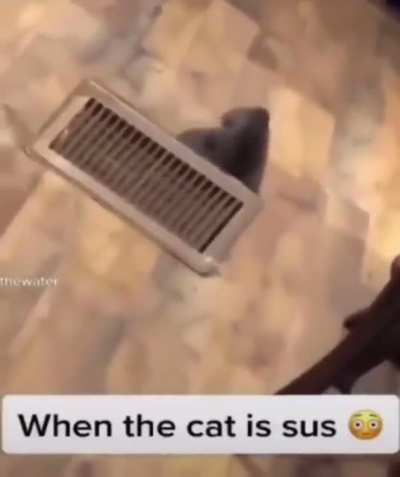 Gato ventilacion
