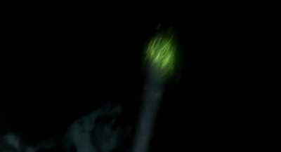 Video of me grabbing a lobster/surfacing on a dark night last fall.