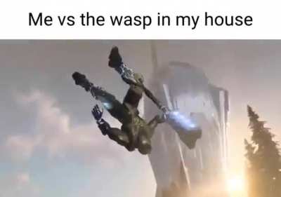 Flying fucks