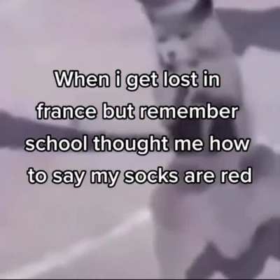 School in a nutshell