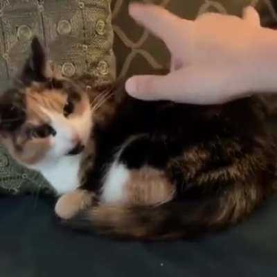 I give u-AAAAAAAA