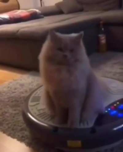 catquake