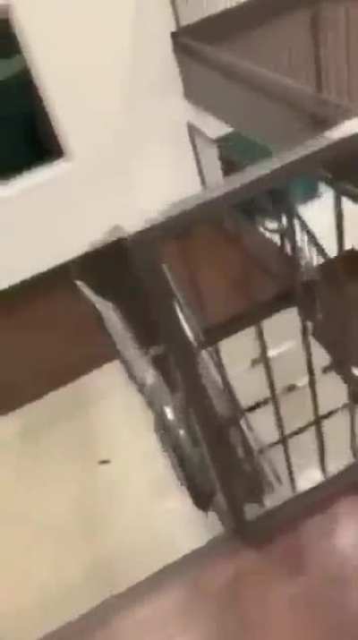 HMFT after this rail slide