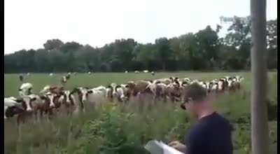 Когда у тёлочек мурашки по коже от твоего голоса