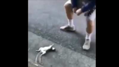 Revenant mains be like...
