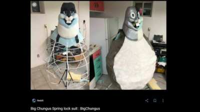 what da chungus done?