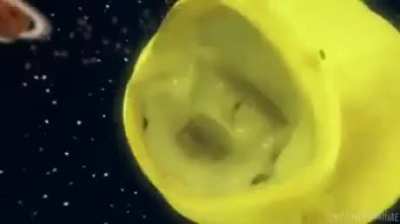 Aaaaahhh
