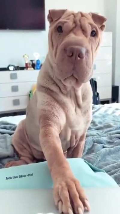 Are you cheating on me !?