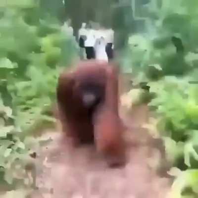 Run