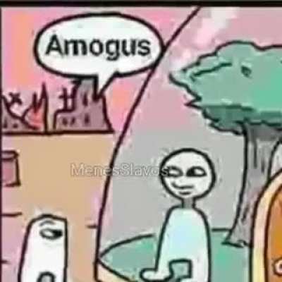 Sus