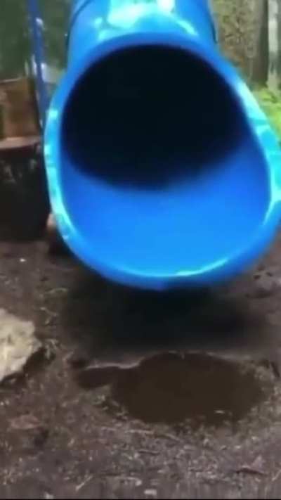 Aaaaaaa