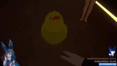 Duck gets increasingly angry