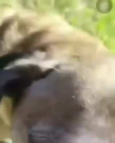 I'm hungry now