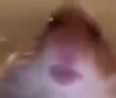 boa noite grupor