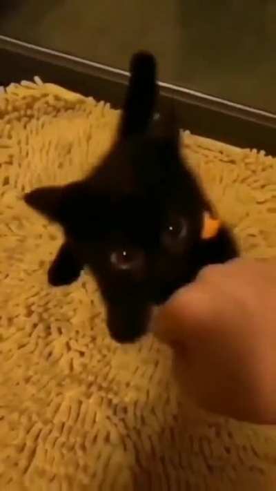 tiny fighter