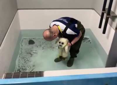 Swimming practice
