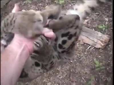 awww
