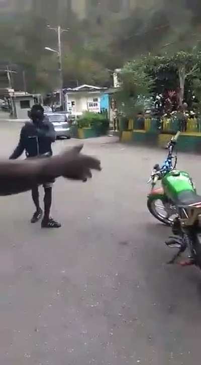 emergency stop