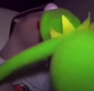 Kermit?!