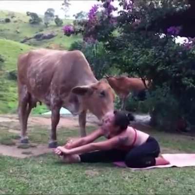 "What is wrong? Do you need licks?"