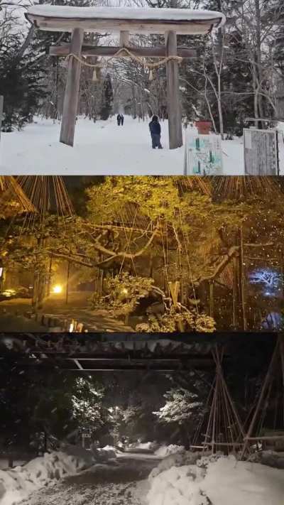Japan Trip 2026