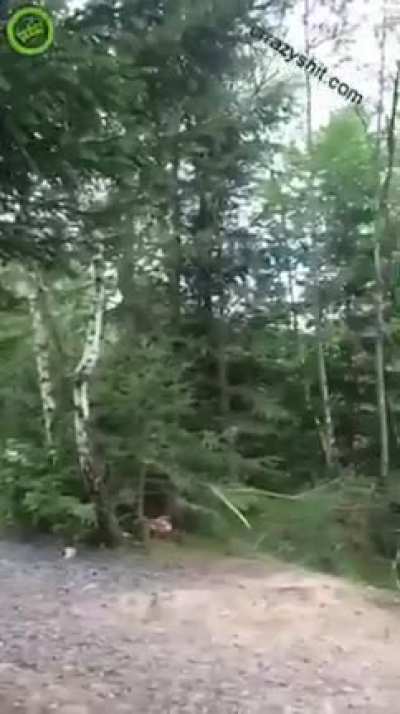 Looks like a lot of fun!!