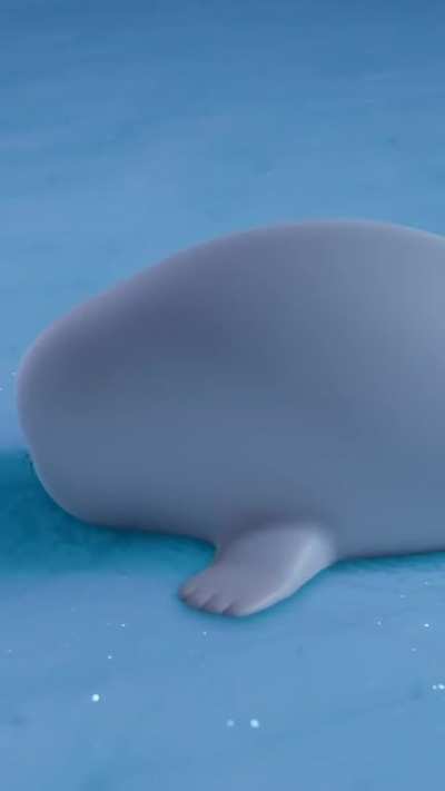 Seals