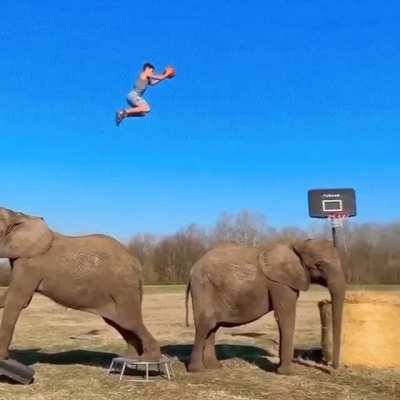 Man Dunks Basketball Catapulted by Elephant