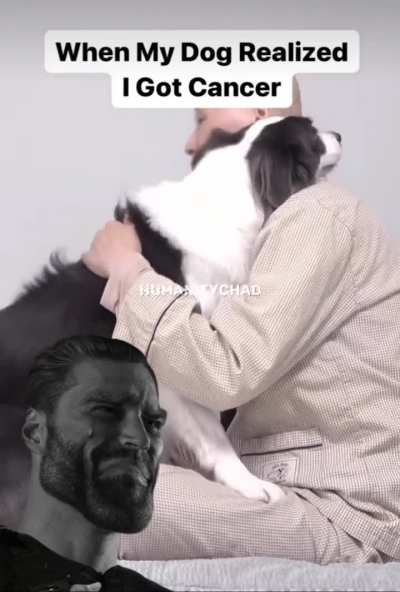 Mans best friend 