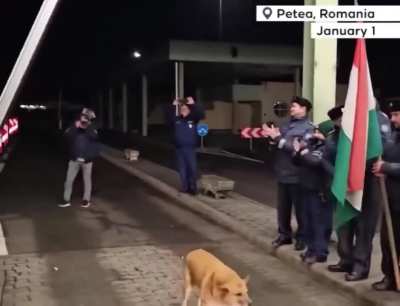 Stray dog accidentally becomes the first to cross the Romania-Hungary border after Romania became a full member of the European Union's Schengen area.