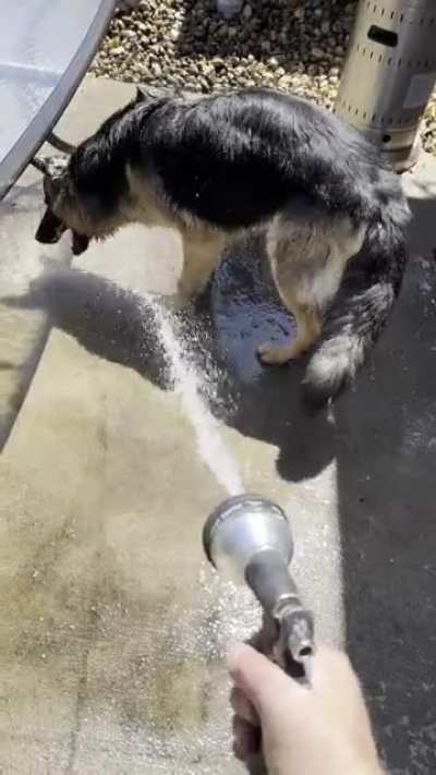 I can&rsquo;t even wash the patio!