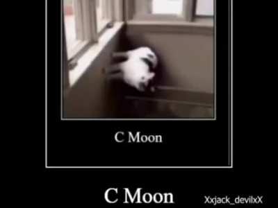 C-moon cat but revamped why not tho.