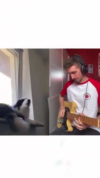 Talent