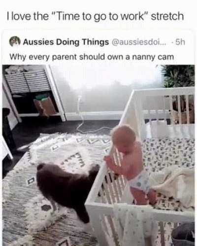 Tickle Me Doggo